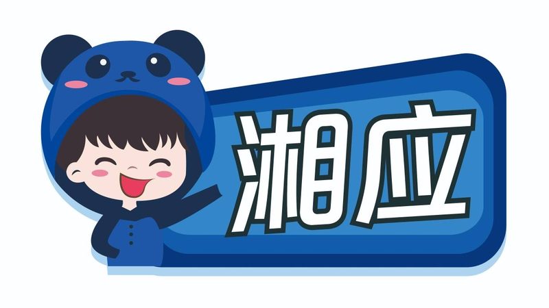 it咨询服务规范标准解读